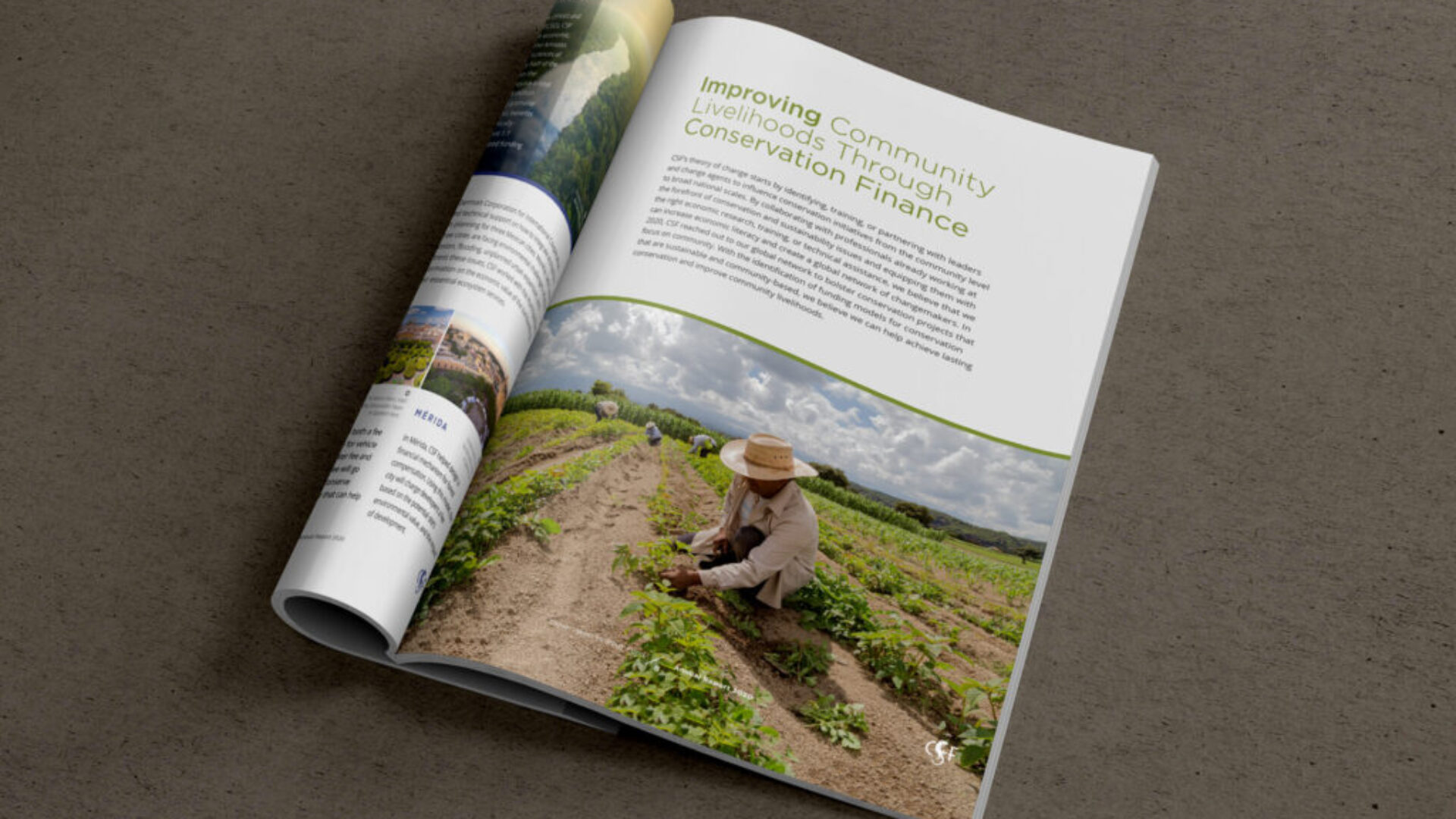 CSF-Annual-Report-2020-page-8