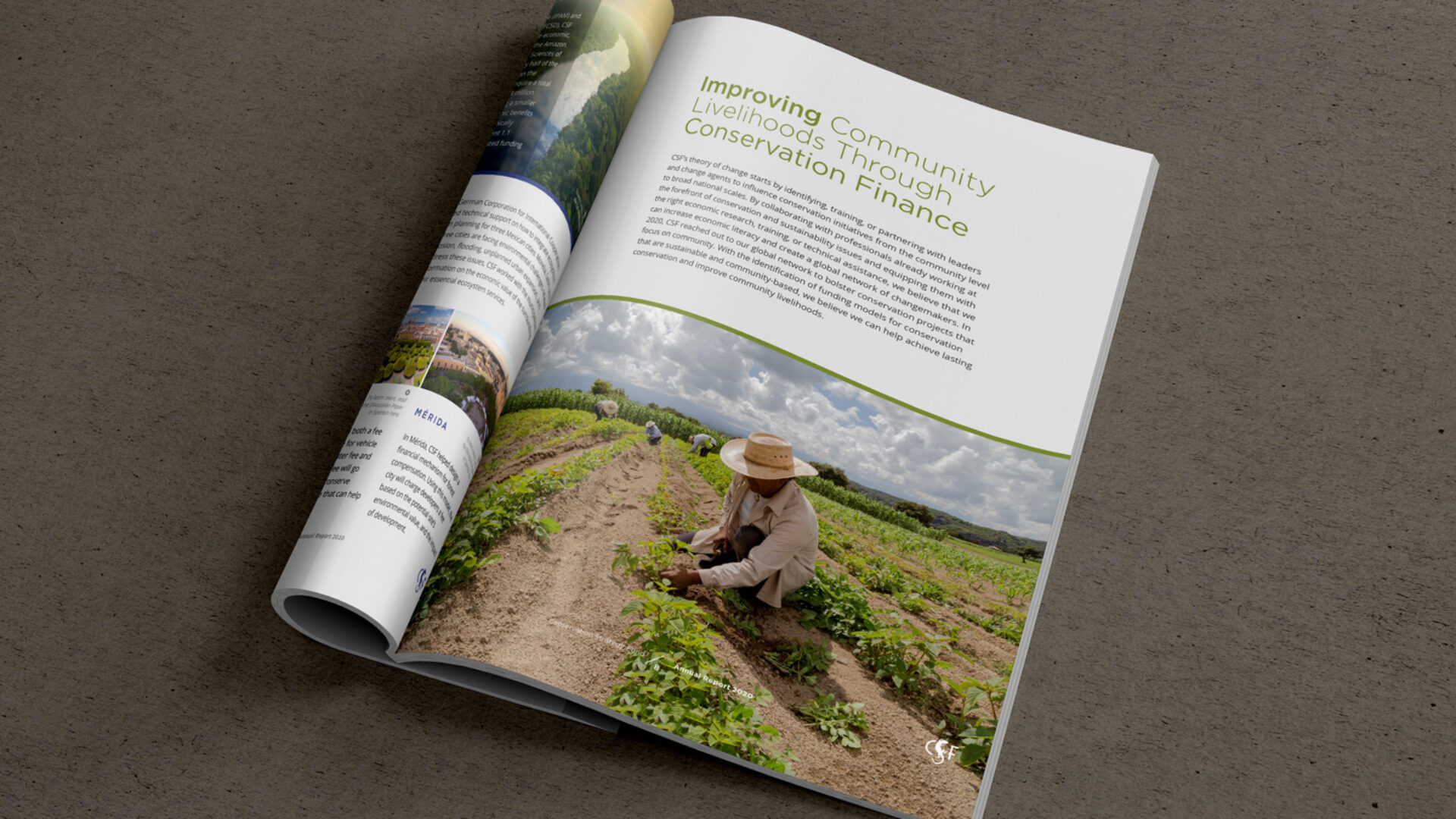 CSF-Annual-Report-2020-page-8
