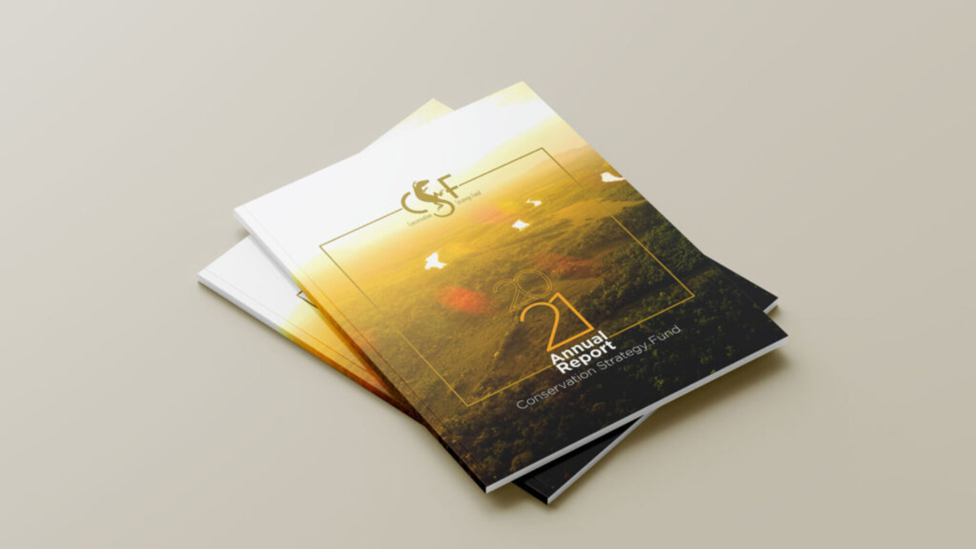 2021-Annual-Report-CSF-cover