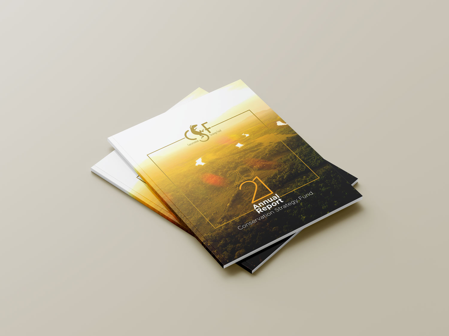2021-Annual-Report-CSF-cover