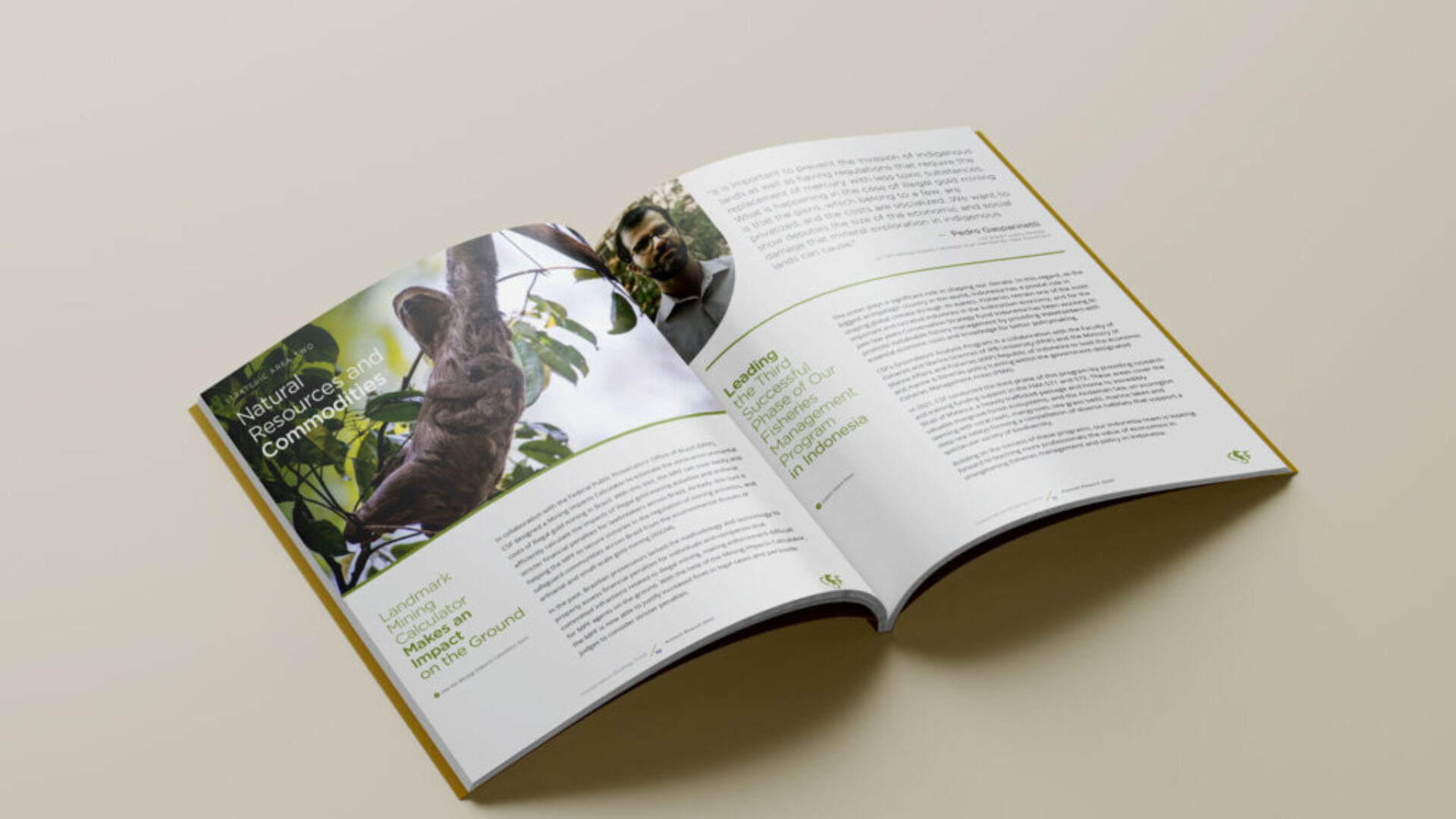 2021-Annual-Report-CSF-inside