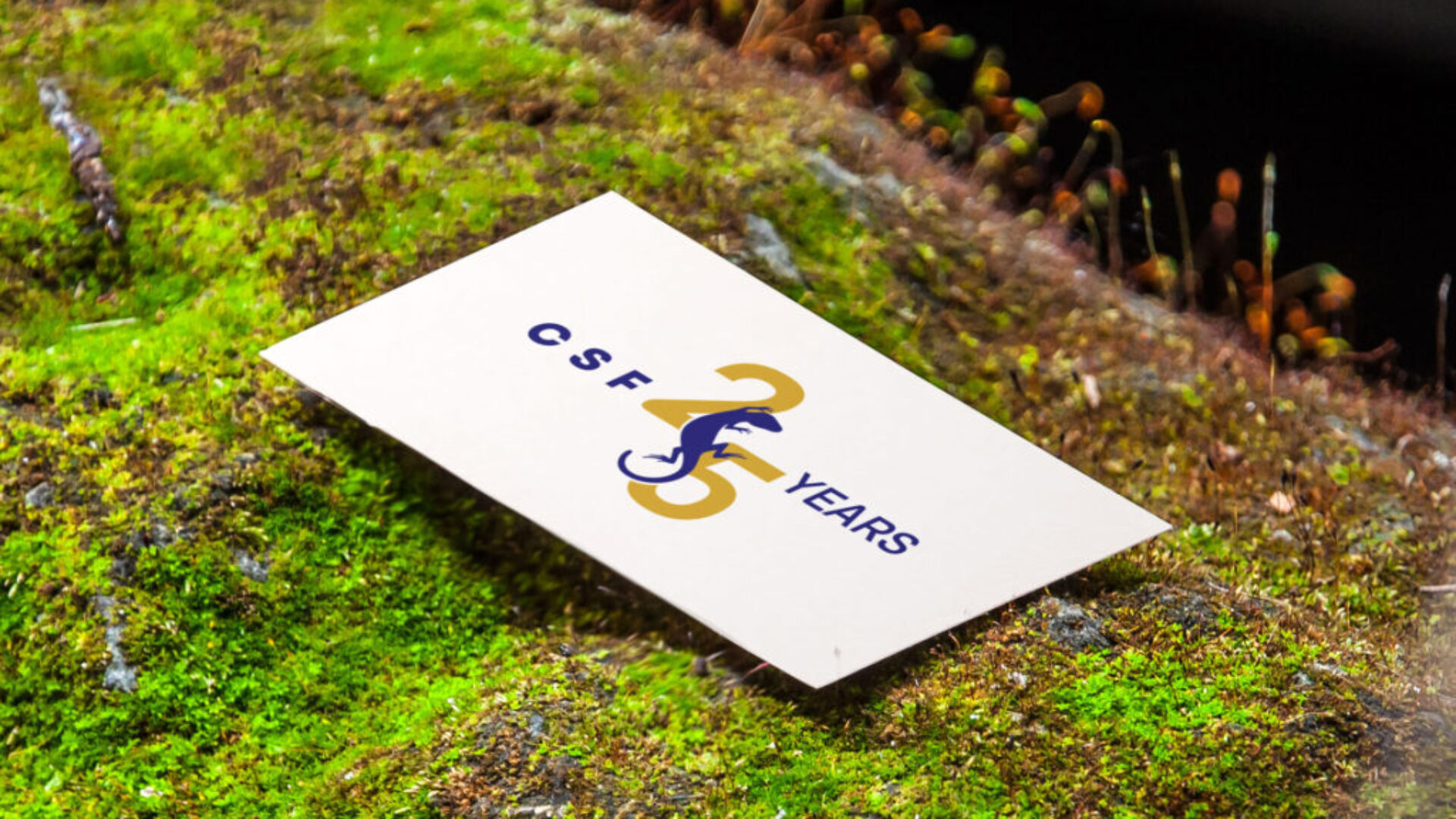 business-card-in-the-nature-5678