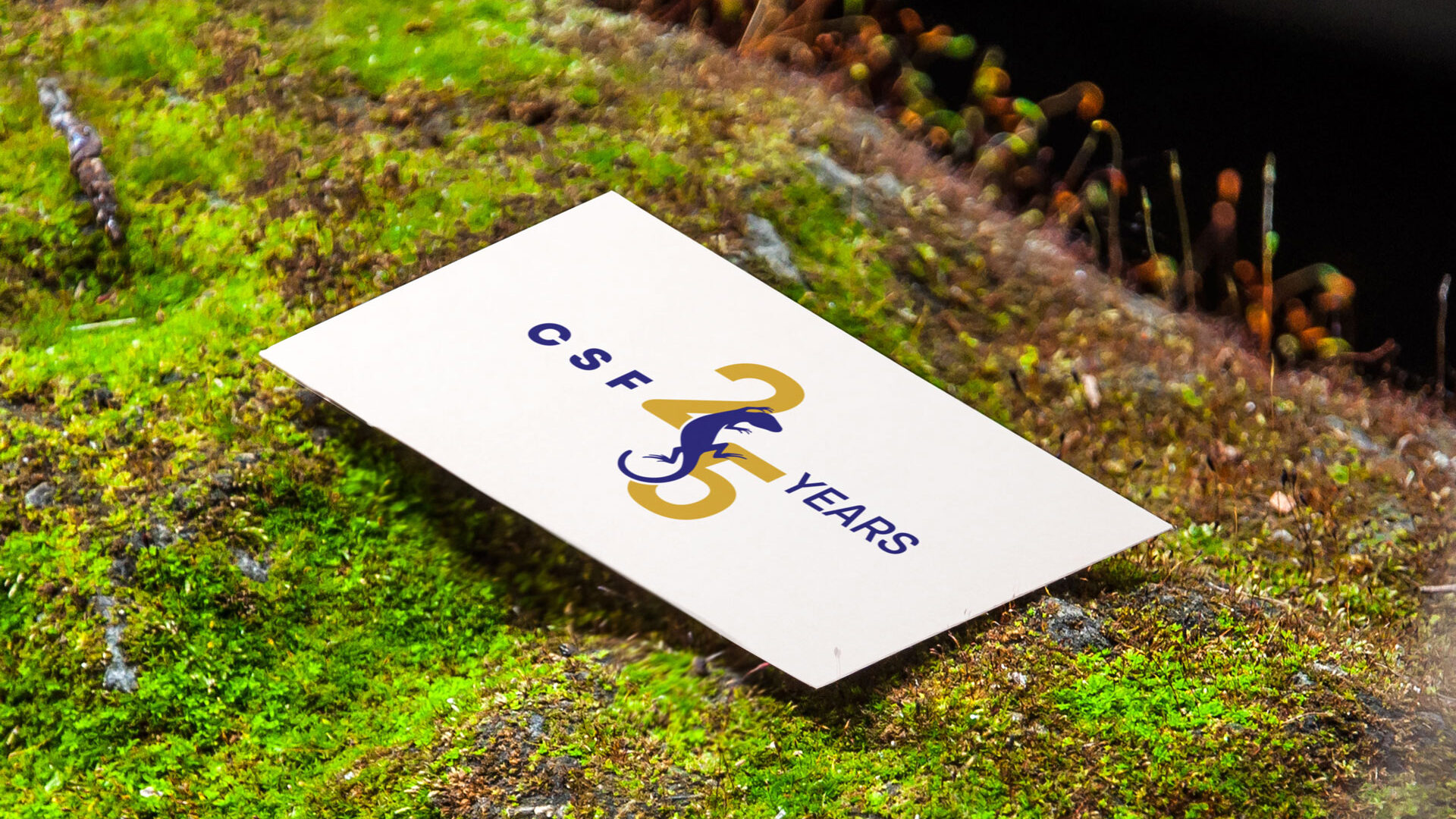 business-card-in-the-nature-5678