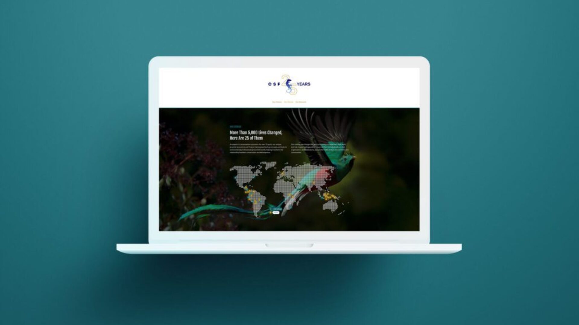 layoutLaptopScreens-CSF25years-our-stories