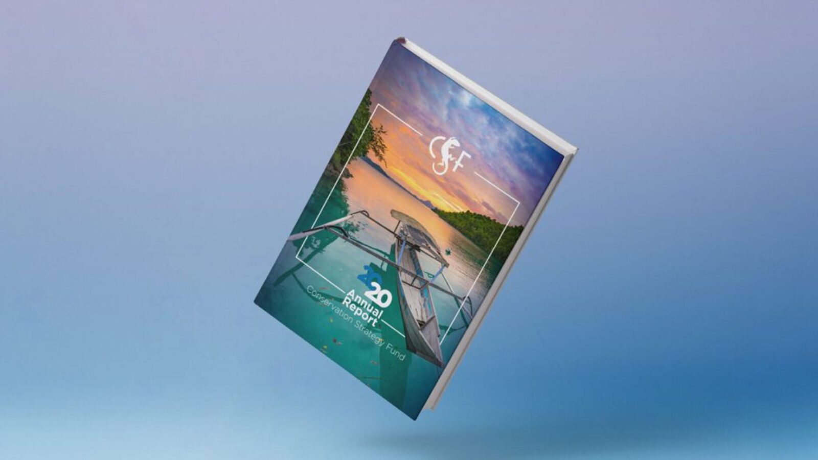 cover-project-editorial-csf-annual-report-2020-danilo-lima