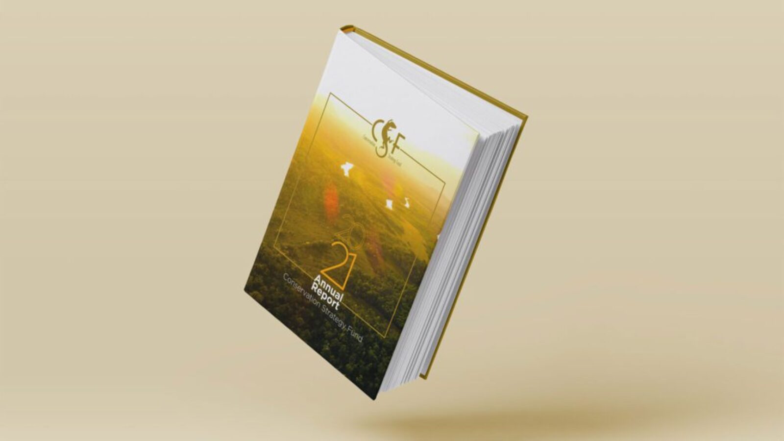 cover-project-editorial-csf-annual-report-2021-danilo-lima