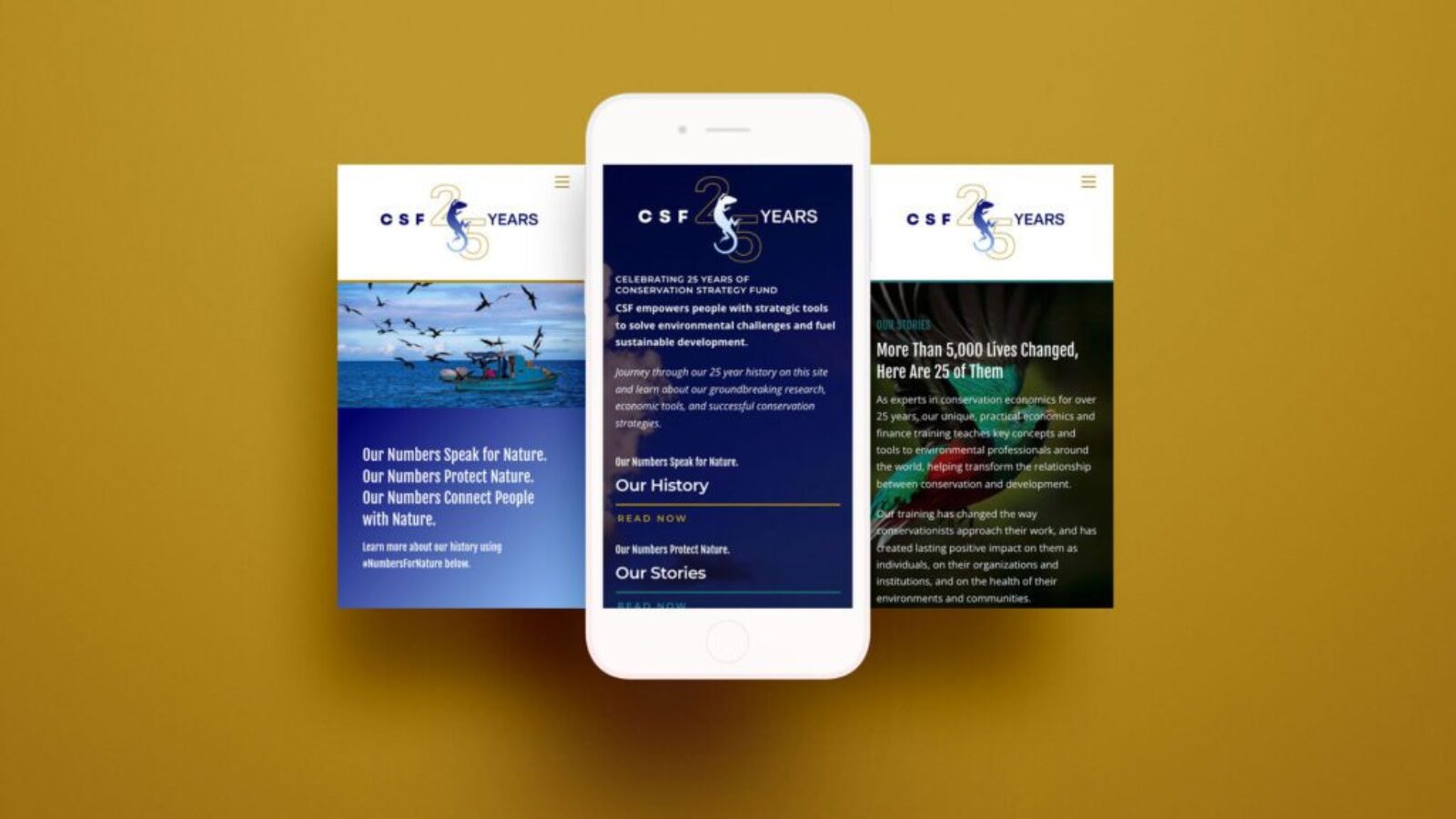 cover-project-site-csf-25-years-danilo-lima