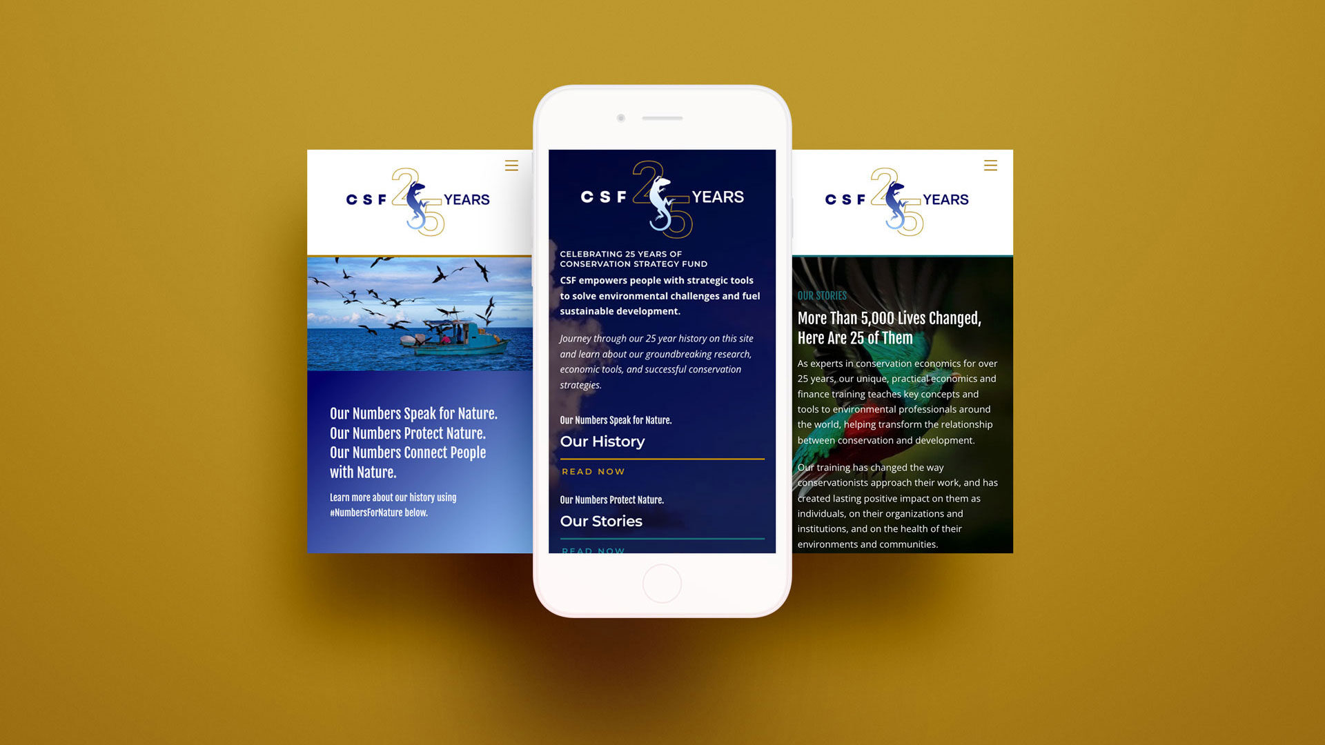 cover-project-site-csf-25-years-danilo-lima